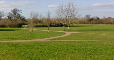 Teen hit over the head with brick during attempted robbery