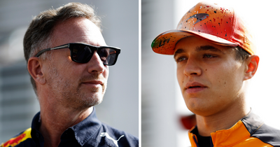 Christian Horner confirms Lando Norris talks with Red Bull after McLaren ace's claim