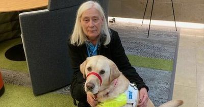 Edinburgh guide dog owner speaks of her fear and anxiety for Guy Fawkes Night