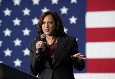 VP Harris fights for Democrats' future — and her own