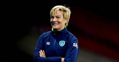 FAI announce November friendly as World Cup preparation begins