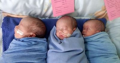 Dad 'ecstatic' to have baby triplets home in Ireland after debacle costing thousands