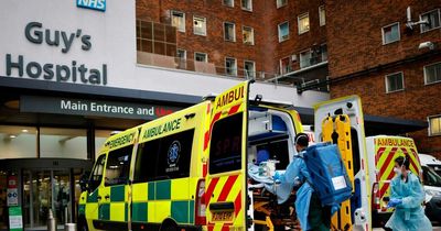 Patient with 'longest case of Covid' finally tests negative after 411 days of illness