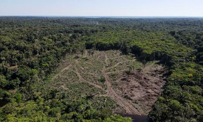 Brazil supreme court ruling to reactivate Amazon Fund gives hope in fight to save rainforest