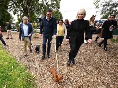 Andrews heckled as crash dogs campaign