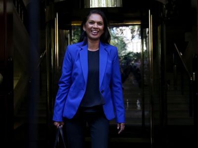 Gina Miller urges Starmer and Davey to give her a clear run at unseating senior Tory