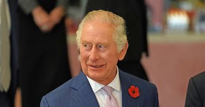 King to host Cop27 reception at Buckingham Palace