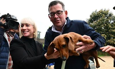 Victorian opposition makes $160m bus overhaul election promise as Labor flags more dog parks