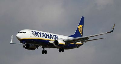 Thousands of Ryanair passengers urged to check in well in advance or risk airport fines due to 'maintenance'