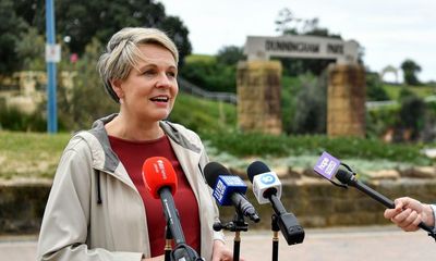 Tanya Plibersek to reassess 18 proposed oil and gas projects to consider their climate change impact