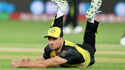 Australia edges past Afghanistan at Adelaide Oval, hopes of defending T20 World Cup title rest with Sri Lanka beating England