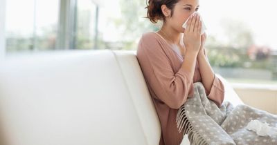 'Tridemic' of winter bugs could hit strained health services, as cases rise
