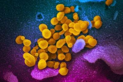 British man who had Covid for 411 days finally cleared of virus