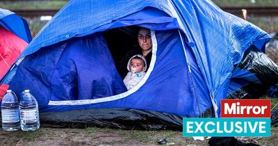 Family in Dunkirk migrant camp trying to reach UK fear they'll be killed if sent home