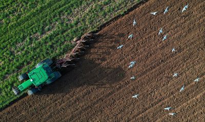 World food index slips in Oct despite higher cereal prices -FAO