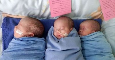 Dublin dad 'ecstatic' to have baby triplets home in Ireland after debacle in Kenya