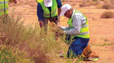 Saudi Arabia Stresses Importance of Energy Transition to Address Climate Challenges