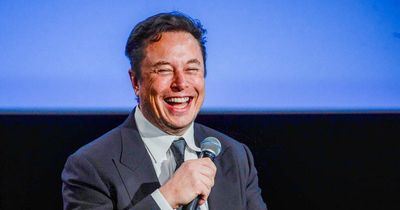 Employees flood Twitter with avalanche of goodbyes as Elon Musk's brutal layoffs begin