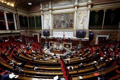 French far-right MP hit with temporary ban for 'Go back to Africa' shout in parliament