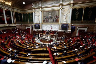 French far-right MP hit with temporary ban for 'Go back to Africa' shout in parliament
