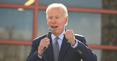 US Midterms: What the elections are and how they could decide the next President