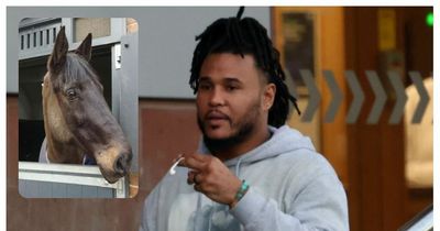 Anti-vaxxer jailed for hitting police horse during protest in Newcastle city centre