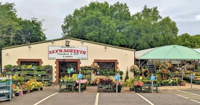 Business as usual at Altnagelvin Garden Centre in Derry