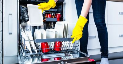 'I put my toilet brush in the dishwasher - pals are disgusted but I don't see the issue'