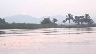 Nile River under threat: A closer look at Egypt's water crisis