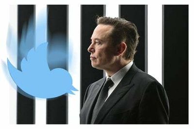 Elon Musk decries ‘massive drop in revenue’ as advertisers withdraw from Twitter