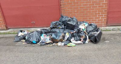 Man who dumped TWENTY FOUR bags of rubbish on street ordered to cough up thousands