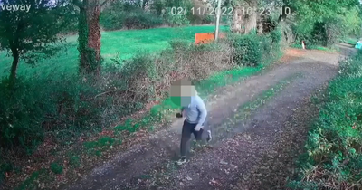 Footage shows DPD delivery driver launching parcel into garden and running off