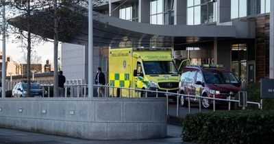 Woman dies in hospital following injuries sustained in Dublin house fire