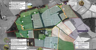 Northumberland solar farm campaigners fear it will ruin their 'treasured rural landscape'