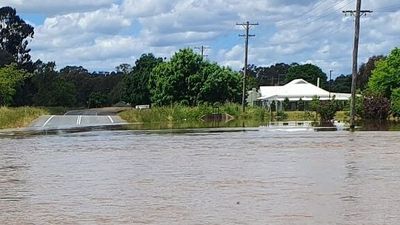 Wagga Wagga flooding continues, hundreds evacuated as Murrumbidgee peaks