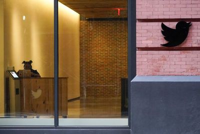 Twitter’s mass layoffs, days before US midterms, could be a misinformation disaster