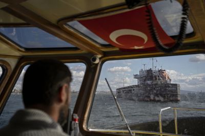 Photos: A close-up look at Ukraine grain export inspections