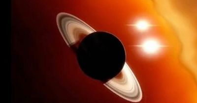 'Time traveller' issues bizarre warning claiming people will ‘fall from sky NEXT YEAR'