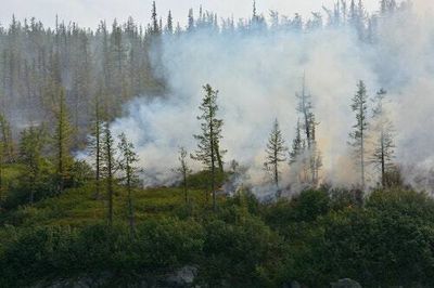 Wildfire smoke may warm the Earth for longer than we thought