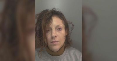 Woman, 38, wanted after fleeing prison as urgent appeal issued
