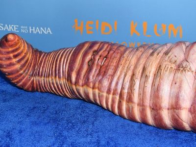 What you didn’t know about Heidi Klum’s worm costume: ‘It costs a lot more than anyone would think’