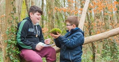 Pupils in South Lanarkshire to pilot outdoor learning initiative