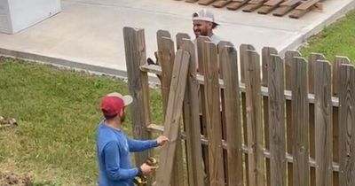Fuming woman gets 'ultimate revenge' on neighbour who built fence across her garden