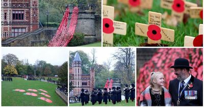 Field of Remembrance opens in Gateshead's Saltwell Park after emotional Royal British Legion service