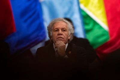 US supports calls for external ethics probe into OAS chief