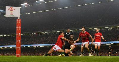 The reasons Wales just couldn't live with New Zealand in gruesome defeat