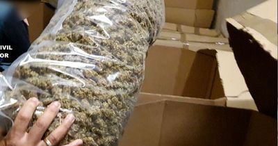 Police in Spain make 'largest ever' seizure of cannabis worth £57m