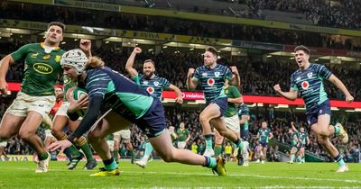 Ireland withstand Boks storm to lay down marker in thriller