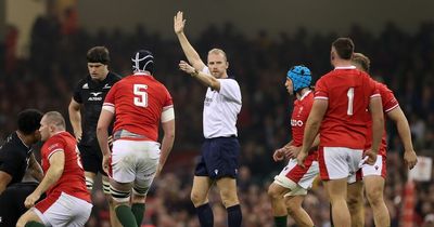 'Don't be a t**t!' Unheard Wales v New Zealand conversations amid confrontation and Wayne Barnes frustration