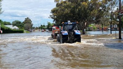 Second body found in central west NSW as large parts of the state experience near-record floods